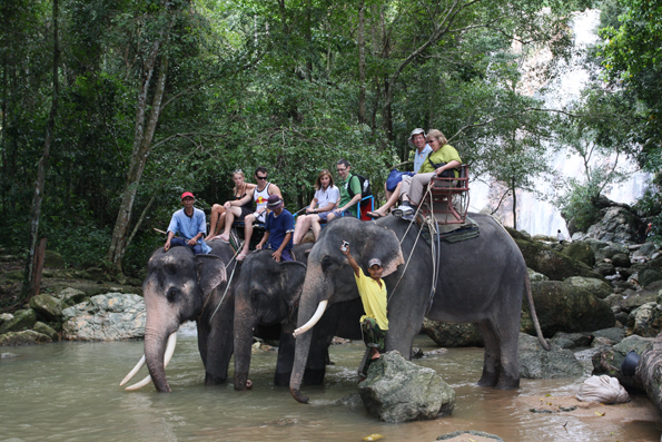 Elefant Trekking